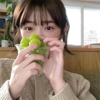 胡同猫